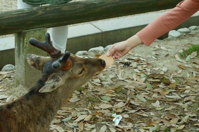DSC09403_resize