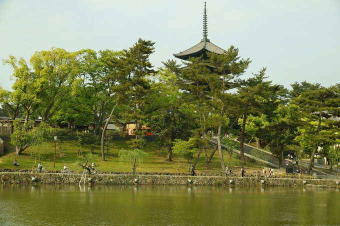 DSC09392_resize