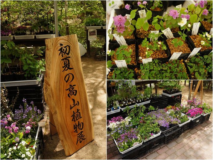 02_01六甲植物園_04