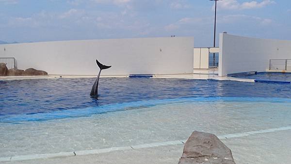 《九州親子遊》來大分水族館還能順便賞猴/票價+交通/（九州親