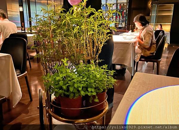 【大安區信義安和站美食】Orchid Restaurant蘭