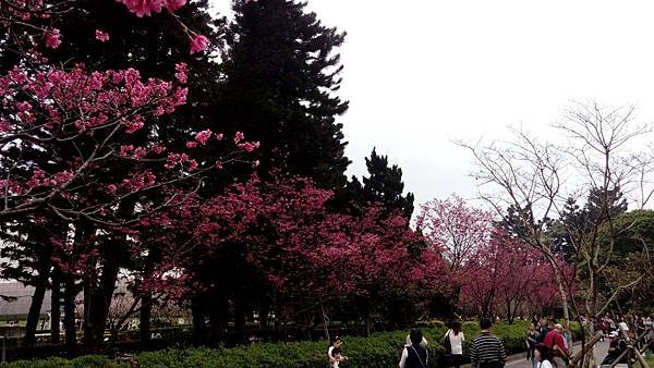 IMG_20180304_180539.jpg