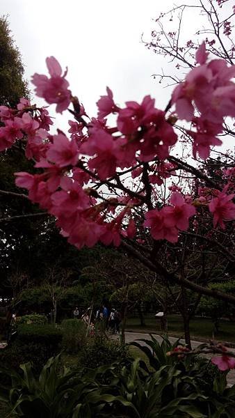 IMG_20180304_180521.jpg
