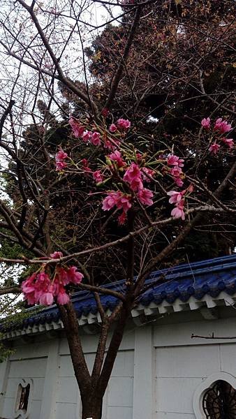 IMG_20180304_172409.jpg