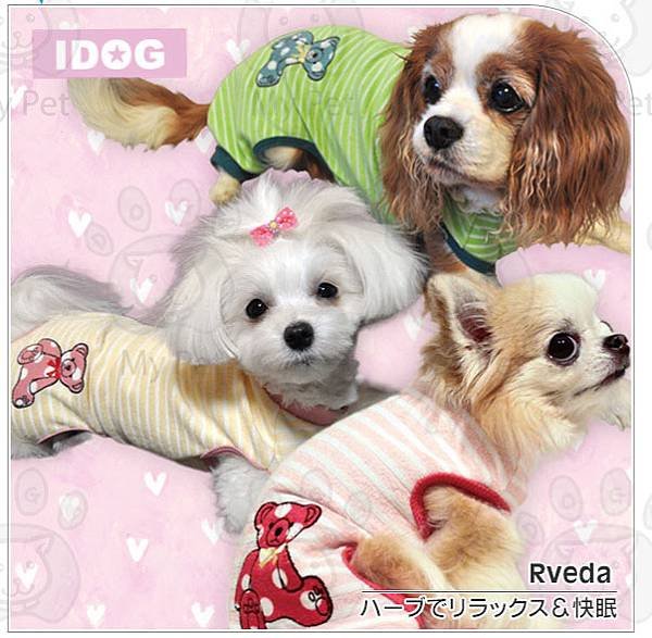 Idog 防臭安眠抗菌  可愛熊寵物服