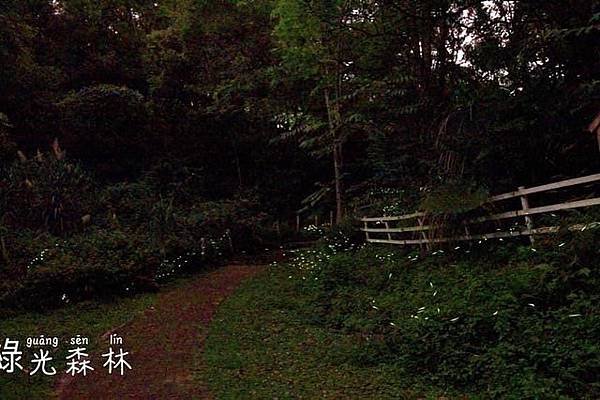S__35528818.jpg