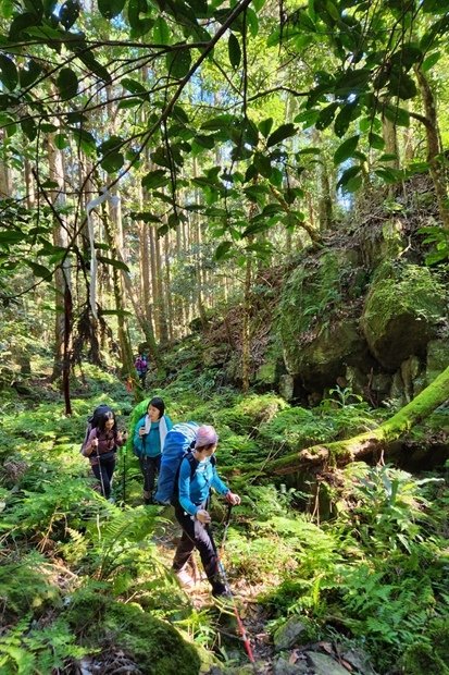 098_LINE_ALBUM_2022125_新竹五峰_比林山_大窩山_221206_110.jpg