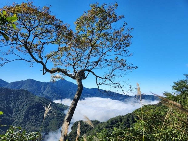 184_LINE_ALBUM_2022125_新竹五峰_比林山_大窩山_221206_98.jpg