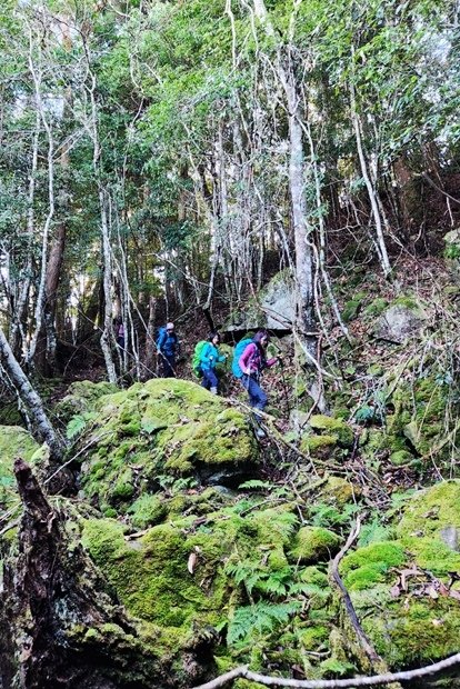 444_LINE_ALBUM_2022125_新竹五峰_比林山_大窩山_221206_88.jpg