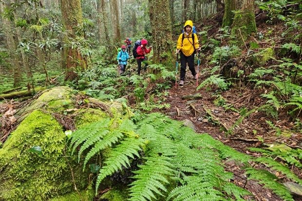 786_LINE_ALBUM_2022125_新竹五峰_比林山_大窩山_221206_14.jpg