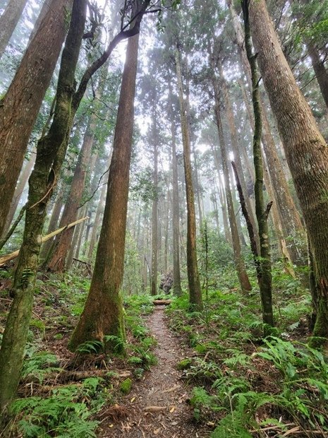 840_LINE_ALBUM_2022125_新竹五峰_比林山_大窩山_221206_15.jpg