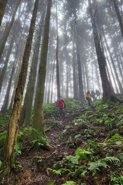 845_LINE_ALBUM_2022125_新竹五峰_比林山_大窩山_221206_12.jpg