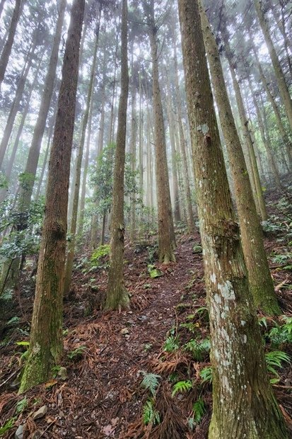 849_LINE_ALBUM_2022125_新竹五峰_比林山_大窩山_221206_9.jpg