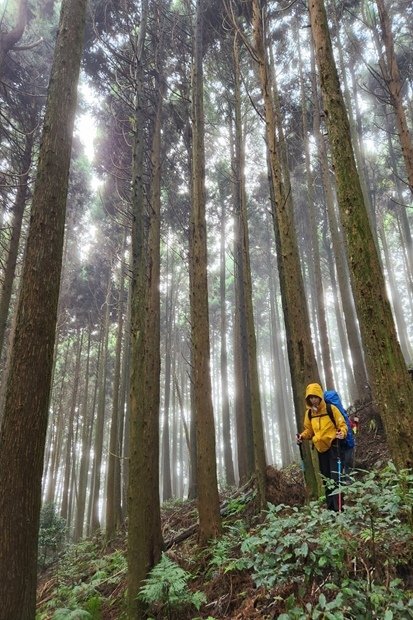 846_LINE_ALBUM_2022125_新竹五峰_比林山_大窩山_221206_19.jpg