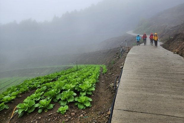 887_LINE_ALBUM_2022125_新竹五峰_比林山_大窩山_221206_1.jpg