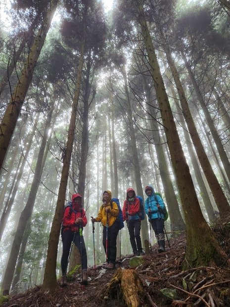 875_LINE_ALBUM_2022125_新竹五峰_比林山_大窩山_221206_2.jpg