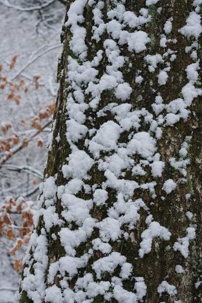 【韓國首爾玩雪】近郊玩雪之一 - 超壯觀冰瀑 - Eobi 