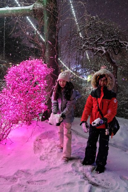 【韓國首爾玩雪】近郊玩雪之三 - 寧靜樹木園