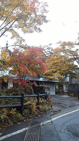 P_20161028_130006.jpg