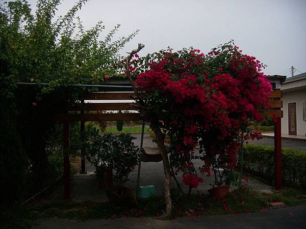 DSCN4228