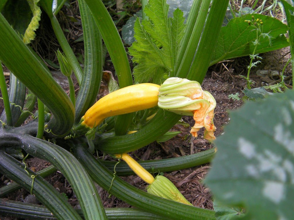 SANY0146.JPG