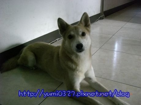 CIMG3108.JPG