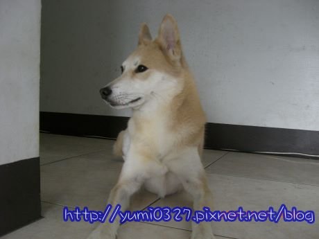 CIMG3119.JPG