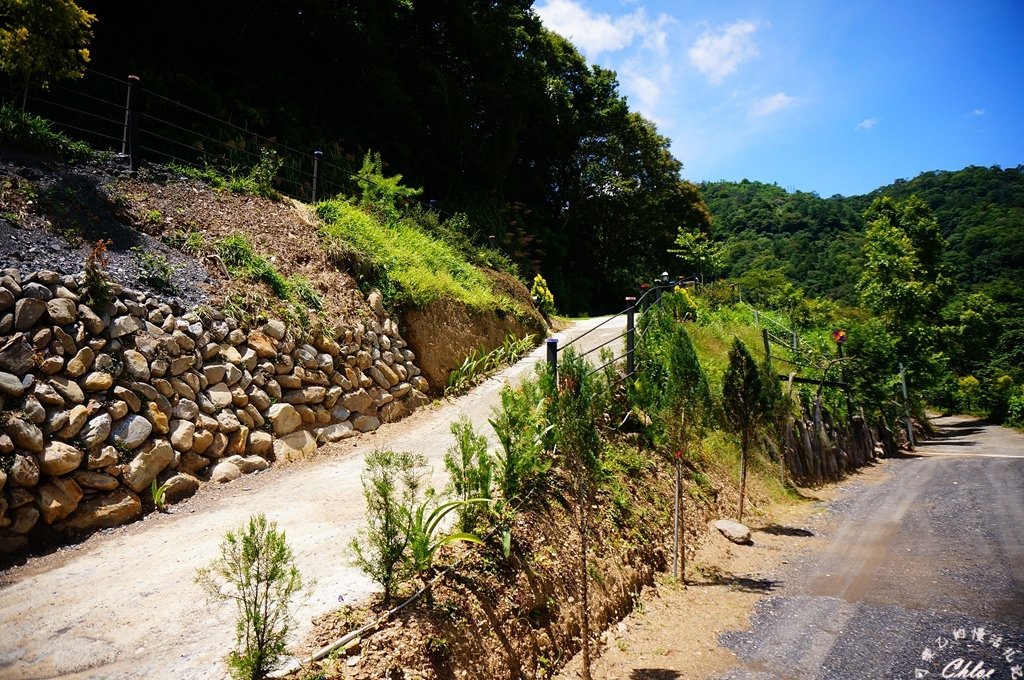 滿天馨露營區019.jpg