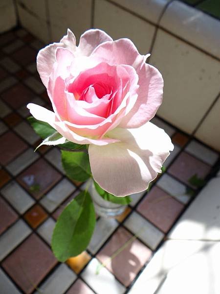 20131027瑪蒂丸達 (3)