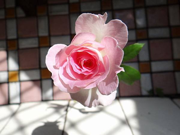 20131027瑪蒂丸達