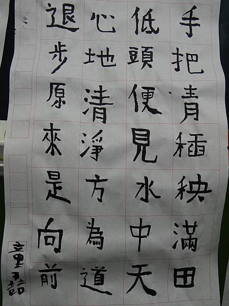 20141125隨興書法 (11)