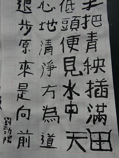 20141125隨興書法 (4)