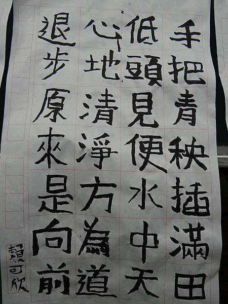 20141125隨興書法 (7)