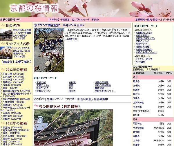 京都の桜情報 2013：京都新聞