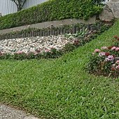花葬 (2).jpg