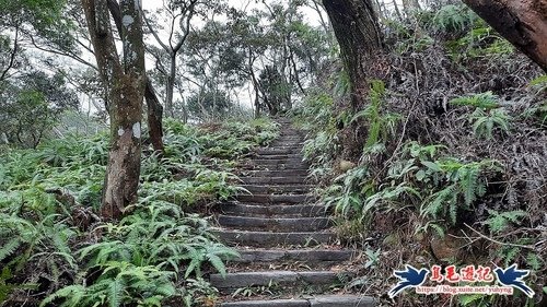 【三員縱走】三義火車站→三角山→長坑山→雙峰山→雙峰山北峰→