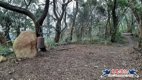 【三員縱走】三義火車站→三角山→長坑山→雙峰山→雙峰山北峰→