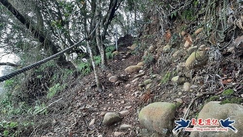 【三員縱走】三義火車站→三角山→長坑山→雙峰山→雙峰山北峰→