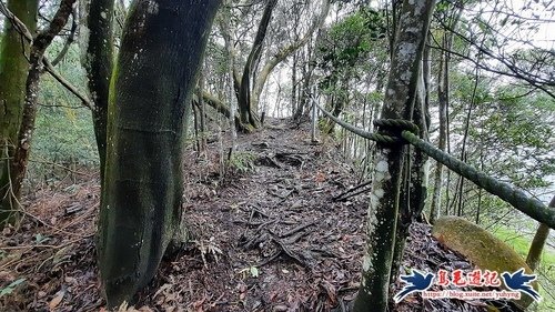 【三員縱走】三義火車站→三角山→長坑山→雙峰山→雙峰山北峰→