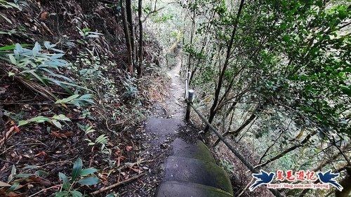 【三員縱走】三義火車站→三角山→長坑山→雙峰山→雙峰山北峰→