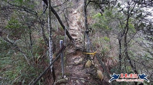 【三員縱走】三義火車站→三角山→長坑山→雙峰山→雙峰山北峰→