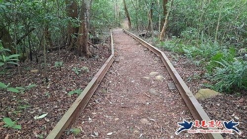 【三員縱走】三義火車站→三角山→長坑山→雙峰山→雙峰山北峰→