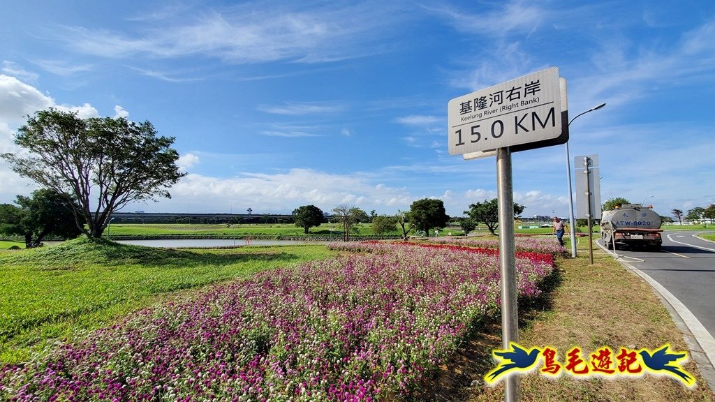 美堤河濱花海・親水灣步道 (19).jpg