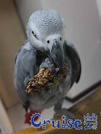DSCF8836