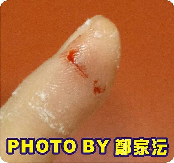 鄭家沄