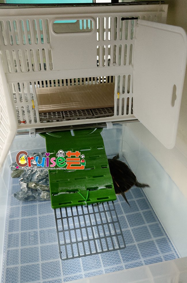 IMAG0905.jpg