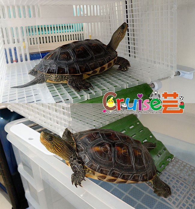 201011-丸圭新窩-(5).jpg
