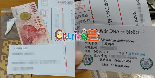 211012-吉驗性別-(4).jpg