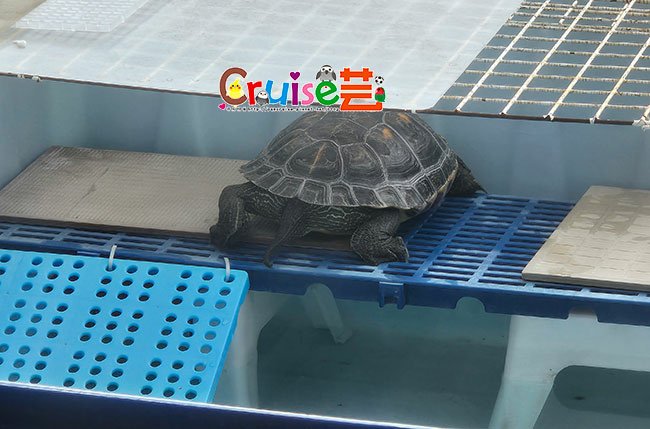 20250118_丸圭-(1).jpg