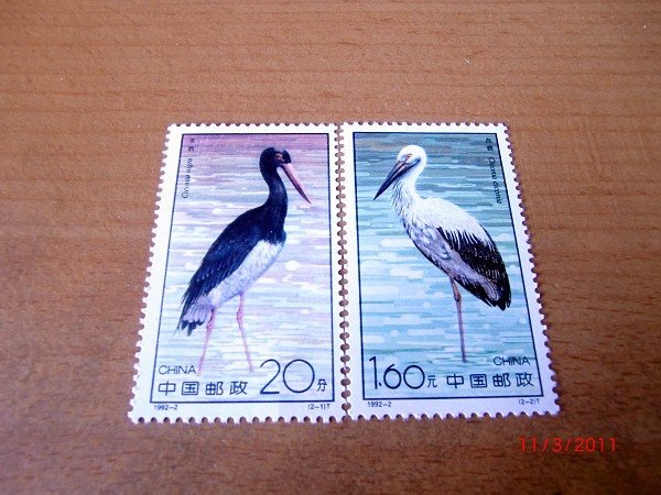 CIMG0001